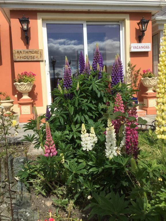 Rathmore House Panzió Cill Airne Kültér fotó